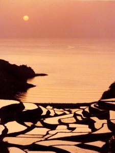 「玄海町・浜野浦の棚田」　撮影者：林高久 撮影地：佐賀県玄海町の浜野浦の棚田　撮影日：2004年4月24日