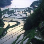 「玄海町浜の浦」　撮影者：昼間義雄 撮影地：玄海町浜の浦　撮影日：2003年5月
