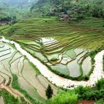 「棚田と川の風景」　撮影者：角尾貞之 撮影地：中国貴州省　撮影日：2005年5月26日