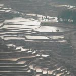 「中国の棚田」　撮影者：加藤国章　撮影地：中国雲南省元陽　撮影日：2005年2月20日