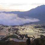 「中国の棚田」　撮影者：加藤国章　撮影地：中国雲南省元陽　撮影日：2005年2月21日