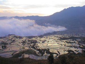 「中国の棚田」　撮影者：加藤国章　撮影地：中国雲南省元陽　撮影日：2005年2月21日