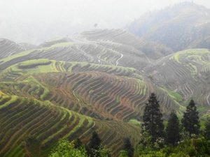 「中国の棚田」　撮影者：加藤国章　撮影地：中国廣西チワン族自治区　撮影日：2004年4月15日