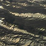 「中国の棚田」　撮影者：加藤国章　撮影地：中国雲南省元陽　撮影日：2005年7月20日
