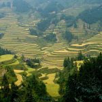 「秋の棚田」　撮影者：角尾貞之　撮影地：中国貴州省　撮影日：2006年9月20日