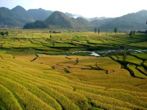 「秋の棚田」　撮影者：角尾貞之　撮影地：中国貴州省　撮影日：2006年9月20日