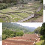 「水俣市久木野」　撮影者：前川俊清 撮影地：水俣市久木野（整備の前後）　撮影日：2005年3月20日と2006年5月14日