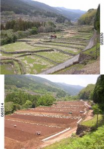 「水俣市久木野」　撮影者：前川俊清 撮影地：水俣市久木野（整備の前後）　撮影日：2005年3月20日と2006年5月14日