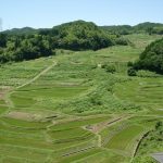 「島根県大東町山王子の棚田」撮影者：長尾雅彦 撮影地：島根県大東町　撮影日