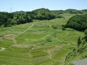 「島根県大東町山王子の棚田」撮影者：長尾雅彦 撮影地：島根県大東町　撮影日