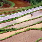 「岡山県美咲町おおはが西」撮影者：長尾雅彦 撮影地：岡山県美咲町　撮影日：2005年9月14日