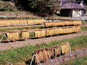 「岡山県備前市八塔寺ふるさと村」撮影者：坂井正樹 撮影地：岡山県備前市八塔寺ふるさと村　撮影日：2006年10月17日