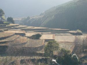 「愛南町の山出(やまいだし)集落」　撮影者：北出公洋 撮影地：愛南町の山出(やまいだし)集落　撮影日：2002年1月