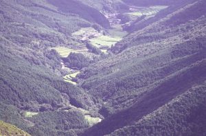 「愛南町の山出(やまいだし)集落」　撮影者：北出公洋 撮影地：愛南町の山出(やまいだし)集落　撮影日：2002年7月