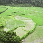 「高知県黒潮町市野瀬付近」　撮影者：北出公洋 撮影地：高知県黒潮町市野瀬付近　撮影日：2001年10月