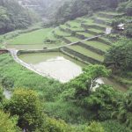 「四万十市の北部、住次郎」　撮影者：北出公洋 撮影地：高知県四万十市の北部、住次郎　撮影日：2001年10月