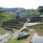 「井仁の棚田」撮影者：長尾雅彦 撮影地：広島県山県郡筒賀村「井仁の棚田」　撮影日：平成21年5月6日
