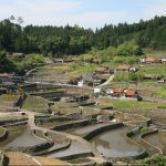 「井仁の棚田」撮影者：長尾雅彦 撮影地：広島県山県郡筒賀村「井仁の棚田」　撮影日：平成21年5月6日