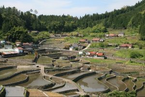 「井仁の棚田」撮影者：長尾雅彦 撮影地：広島県山県郡筒賀村「井仁の棚田」　撮影日：平成21年5月6日