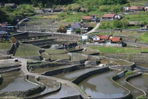 「井仁の棚田」撮影者：長尾雅彦 撮影地：広島県山県郡筒賀村「井仁の棚田」　撮影日：平成21年5月6日