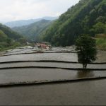 「大井谷の棚田」撮影者：長尾雅彦 撮影地：島根県鹿足郡吉賀町柿木村「大井谷の棚田」　撮影日：平成21年5月5日