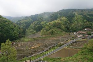 「大井谷の棚田」撮影者：長尾雅彦 撮影地：島根県鹿足郡吉賀町柿木村「大井谷の棚田」　撮影日：平成21年5月5日