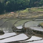 「大井谷の棚田」撮影者：長尾雅彦 撮影地：島根県鹿足郡吉賀町柿木村「大井谷の棚田」　撮影日：平成21年5月5日