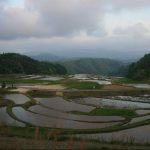 「山王寺の棚田」撮影者：長尾雅彦 撮影地：島根県雲南市大東町「山王寺の棚田」　撮影日：平成21年5月6日