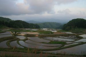 「山王寺の棚田」撮影者：長尾雅彦 撮影地：島根県雲南市大東町「山王寺の棚田」　撮影日：平成21年5月6日