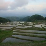 「山王寺の棚田」撮影者：長尾雅彦 撮影地：島根県雲南市大東町「山王寺の棚田」　撮影日：平成21年5月6日