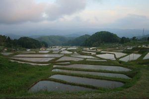 「山王寺の棚田」撮影者：長尾雅彦 撮影地：島根県雲南市大東町「山王寺の棚田」　撮影日：平成21年5月6日
