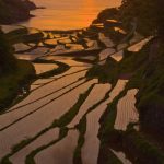 日没直前まで太陽が見えていたのは幸運だった。 撮影者：萩谷敦　撮影地：佐賀県玄海町　撮影日：2010年5月15日