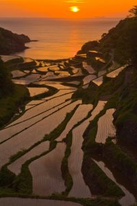 日没直前まで太陽が見えていたのは幸運だった。 撮影者：萩谷敦　撮影地：佐賀県玄海町　撮影日：2010年5月15日