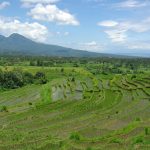バリ島東部バンドム村の棚田 撮影者：石川 公康　撮影地：バリ島東部バンドム村（インドネシア）　撮影日：2013年1月25日