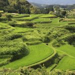 "熊本県山都町の小崎棚田。左端から中央部にかけて、耕作を放棄した部分がある。「これが、全て耕作されていたら、さぞかし美しいことだろう」と、毎年思う。 撮影者：上田　和彦　撮影地：熊本県山都町　撮影日：2011年7月31日