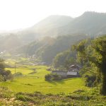 広島県東広島市河内町宇山 撮影者：高畑 裕美　撮影地：広島県東広島市河内町宇山　撮影日：2012年9月19日
