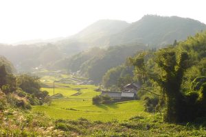 広島県東広島市河内町宇山 撮影者：高畑 裕美　撮影地：広島県東広島市河内町宇山　撮影日：2012年9月19日