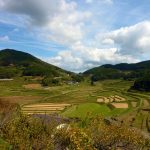 大垪和西棚田 撮影者：高畑 裕美　撮影地：岡山県 大垪和西棚田　撮影日：2012年10月8日
