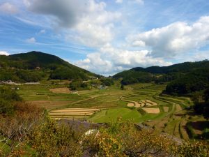 大垪和西棚田 撮影者：高畑 裕美　撮影地：岡山県 大垪和西棚田　撮影日：2012年10月8日