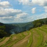 "大垪和西棚田 撮影者：高畑 裕美　撮影地：岡山県 大垪和西棚田　撮影日：2012年10月8日