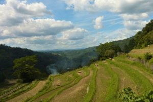 "大垪和西棚田 撮影者：高畑 裕美　撮影地：岡山県 大垪和西棚田　撮影日：2012年10月8日