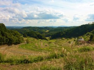 上籾棚田 撮影者：高畑 裕美　撮影地：岡山県 上籾棚田　撮影日：2012年10月8日
