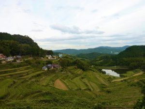 北庄棚田 撮影者：高畑 裕美　撮影地：岡山県 北庄棚田　撮影日：2012年10月8日