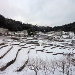 井仁の棚田 撮影者：高畑 裕美　撮影地：広島県山県郡筒賀村　撮影日：2013年1月14日