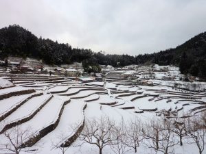 井仁の棚田 撮影者：高畑 裕美　撮影地：広島県山県郡筒賀村　撮影日：2013年1月14日