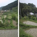「北庄の棚田」　撮影者：岡本和子 撮影地：岡山県久米南町　北庄の棚田　撮影日：2003年6月