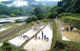 笠原棚田