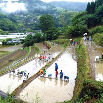 笠原棚田