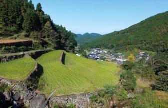 石間伏棚田