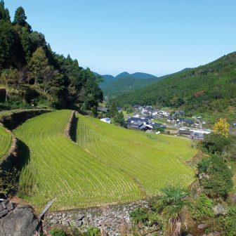 石間伏棚田